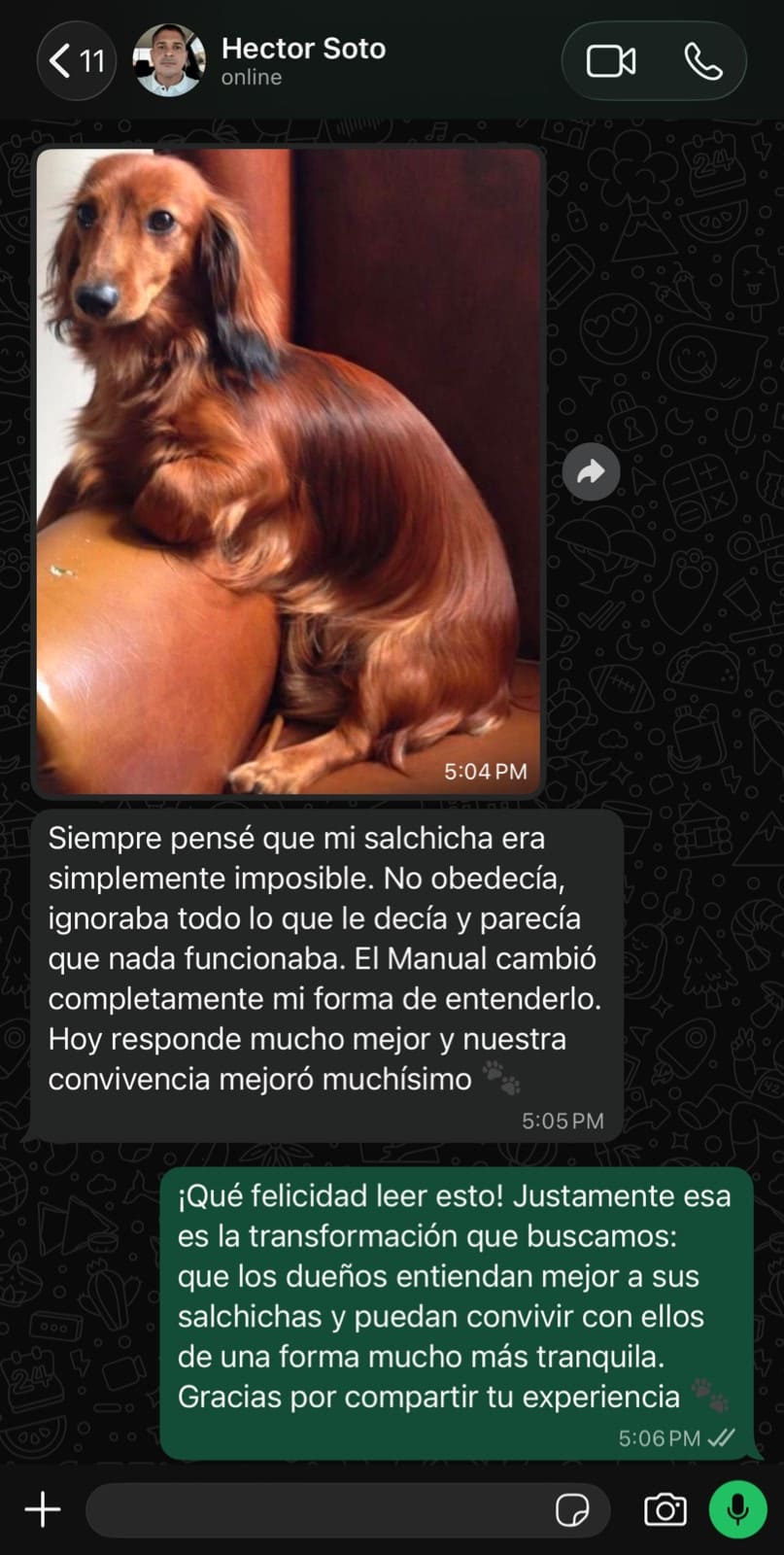 Testimonio 1