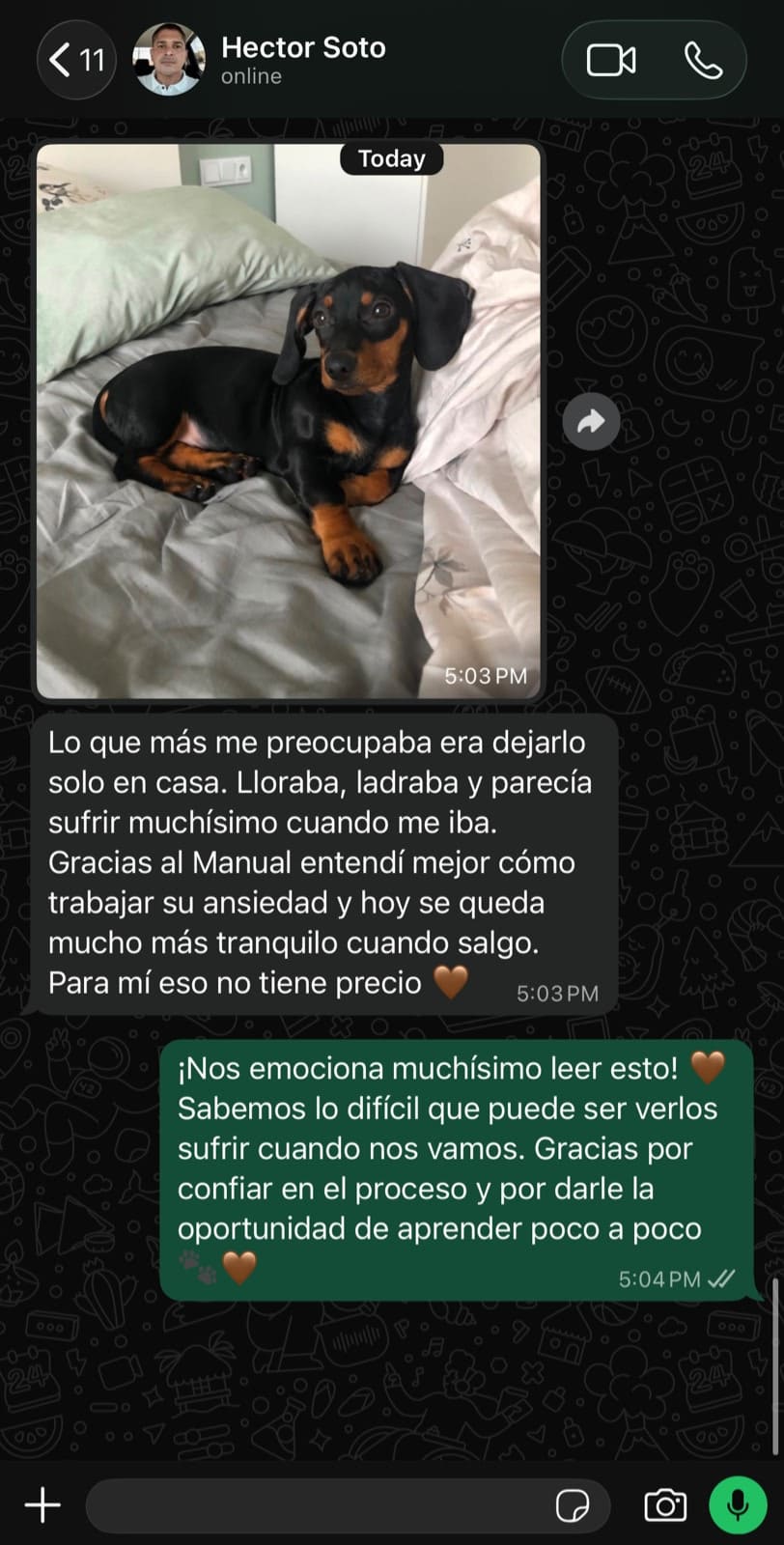 Testimonio 2