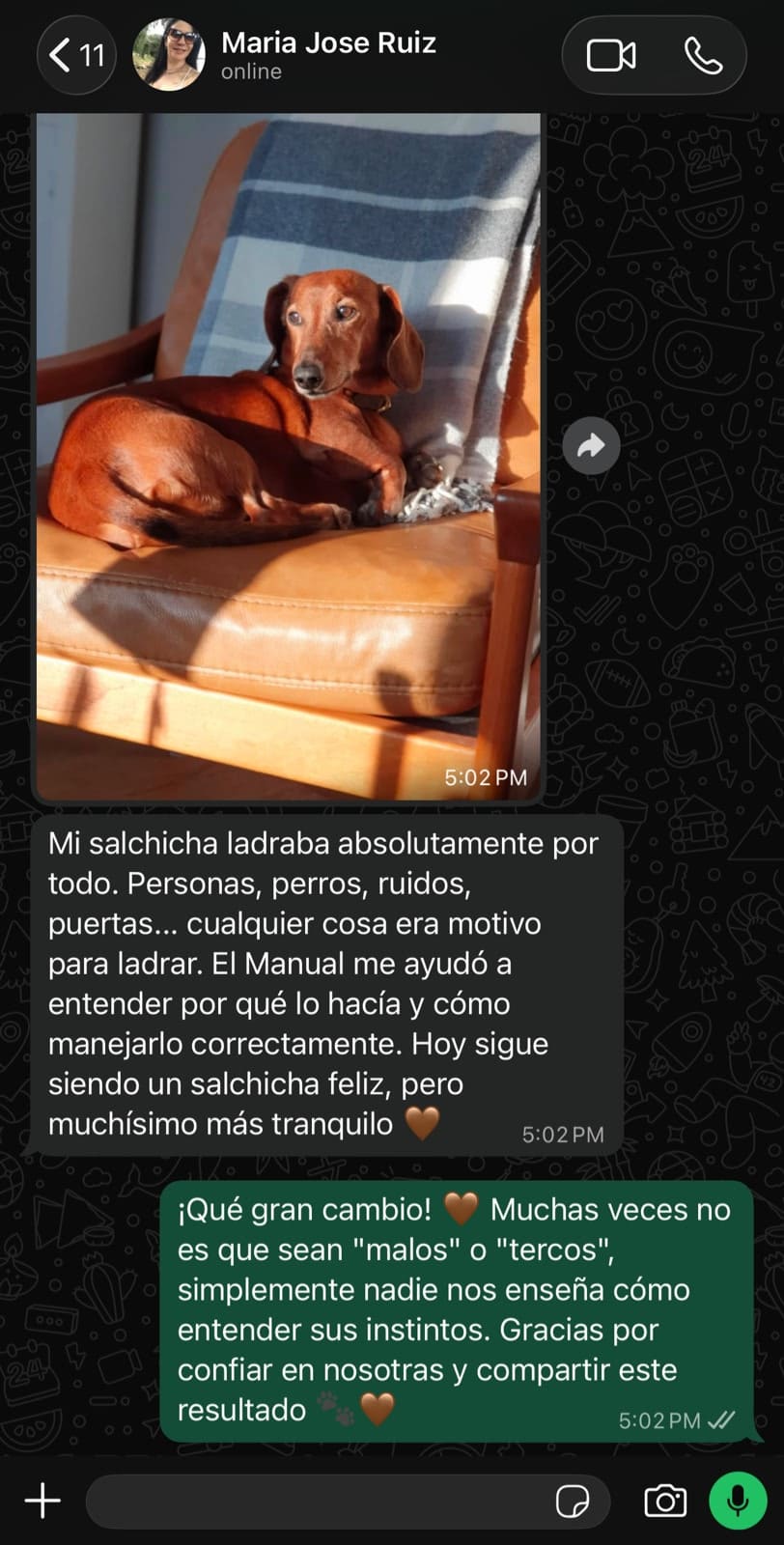 Testimonio 3