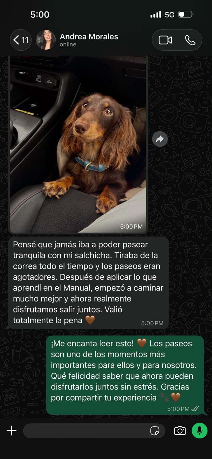 Testimonio 4