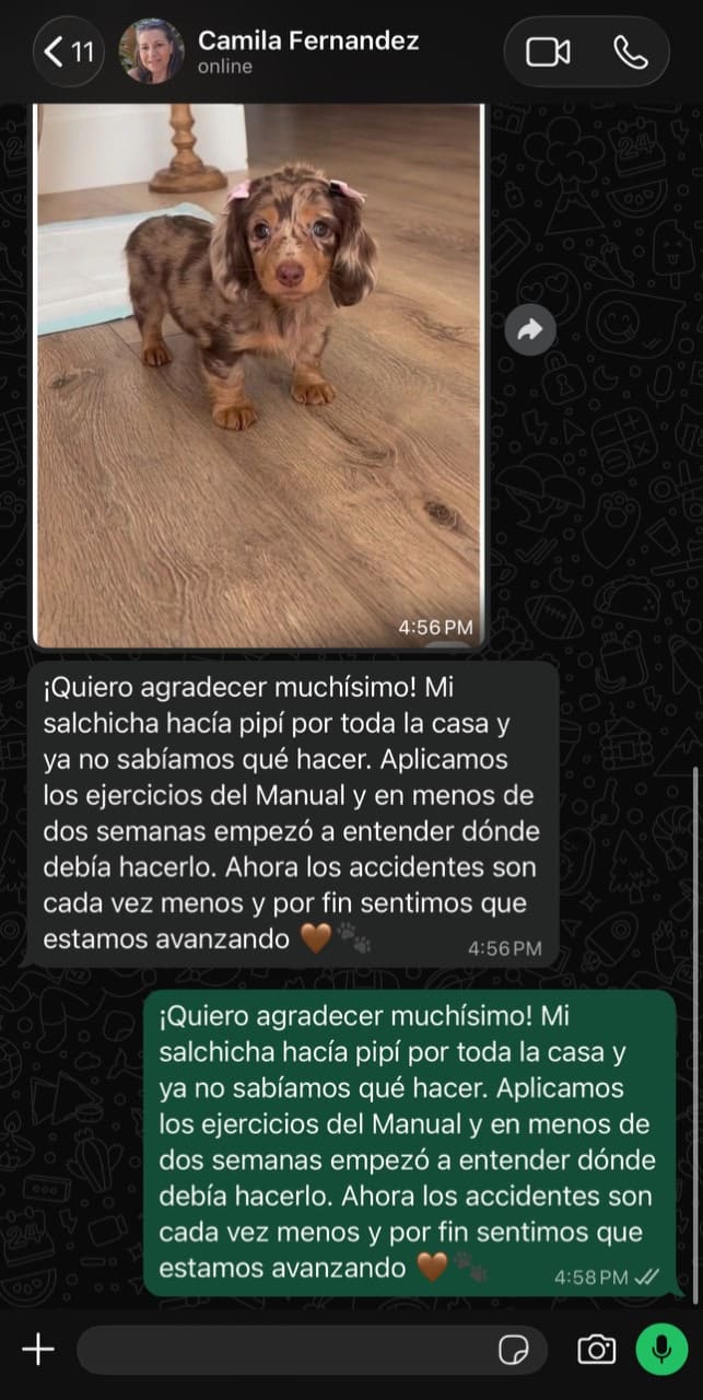 Testimonio 5